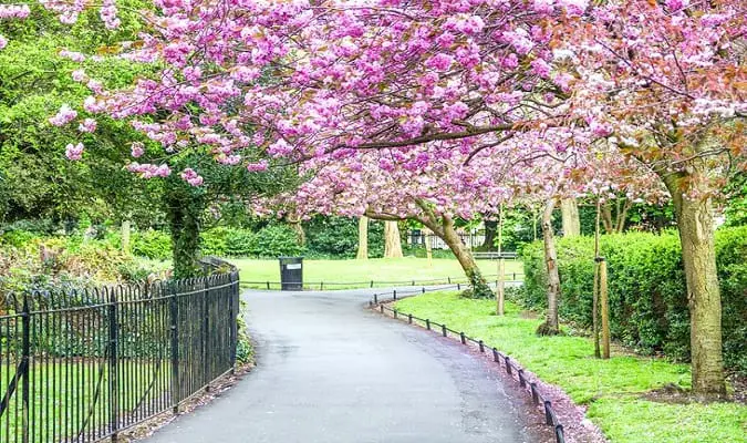 Clima e Temperatura na Irlanda