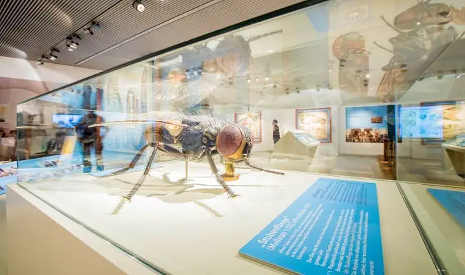 7 Museus para Visitar em Salzburg Europa Destinos
