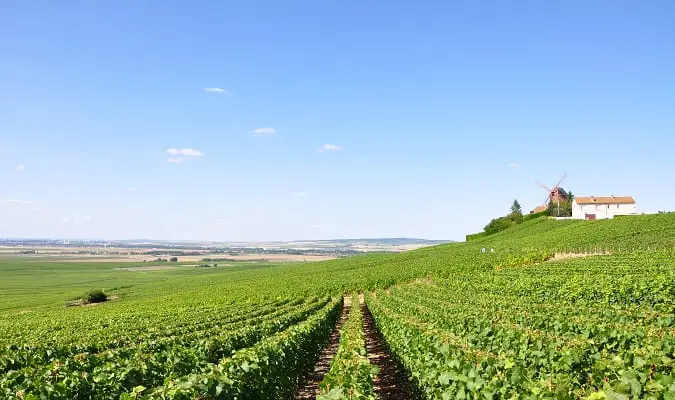 França segundo produtor de vinho na Europa e no Mundo