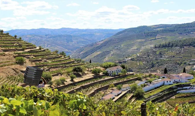 Melhores Vinícolas Europa - ©Quinta do Noval