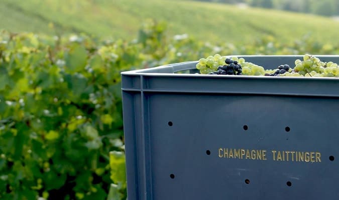 Champagne Taittinger
