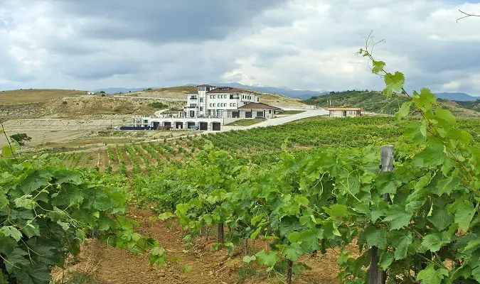 Wine Cellar Villa Melnik