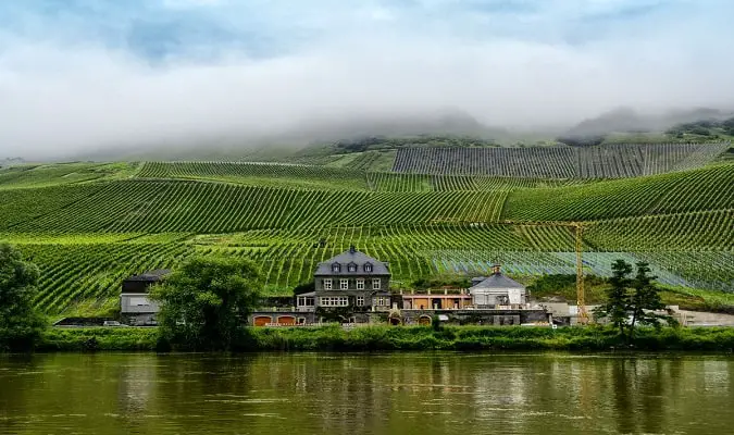 Melhores Vinícolas Europa - ©Weingut Dr. Loosen