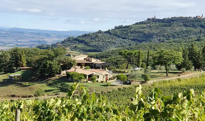 Carpineto Wines of Tuscany